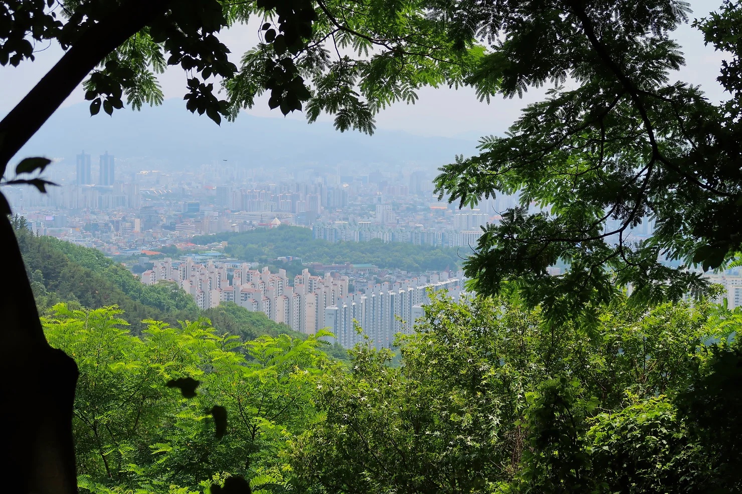 View of Daejeon from Gyejoksan Mountain