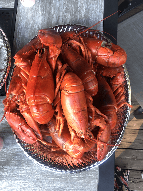 A tray of New England lobster served with oysters.